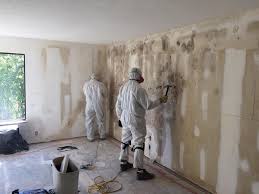 Why You Should Choose Our Mold Remediation Services in Shasta Lake, CA